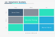 GE/MCKINSEY MATRIX PowerPoint