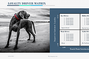 Loyalty Driver Matrix PowerPoint