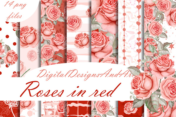 Roses in coral