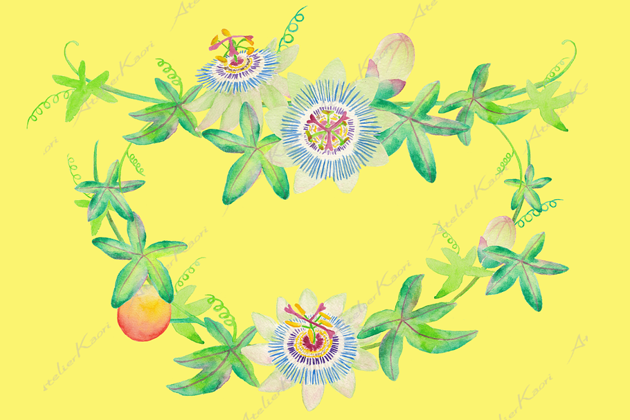 Passionflower Clipart in Illustrations - product preview 8