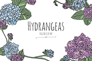 Hydrangeas - Digital Clip Art