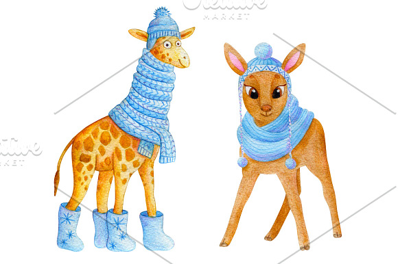 Watercolor Winter Animals + patterns in Illustrations - product preview 4