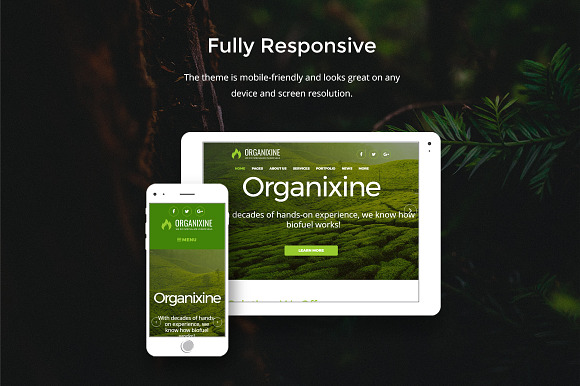 Biofuel Company WordPress Theme in WordPress Business Themes - product preview 5