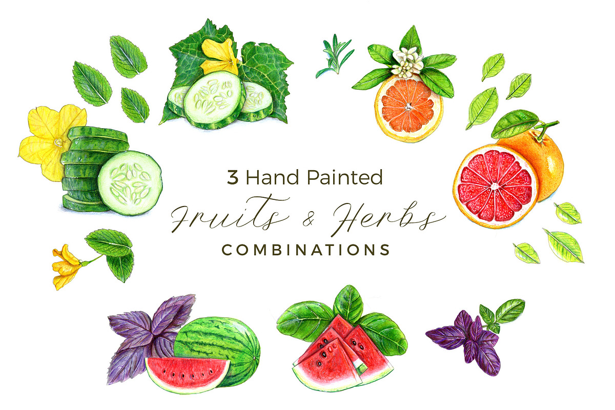 Hand Painted Fruits and Herbs in Illustrations - product preview 8