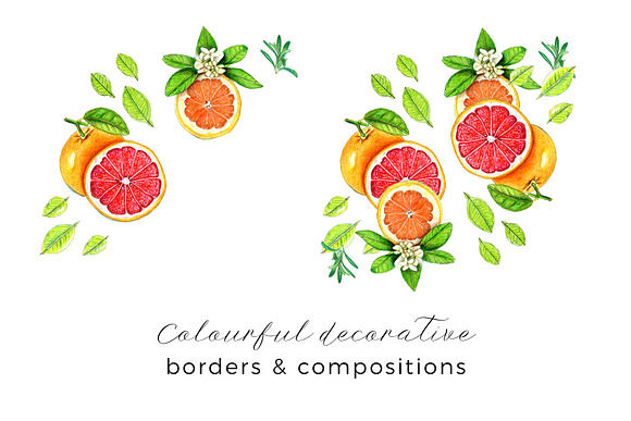 Hand Painted Fruits and Herbs in Illustrations - product preview 3