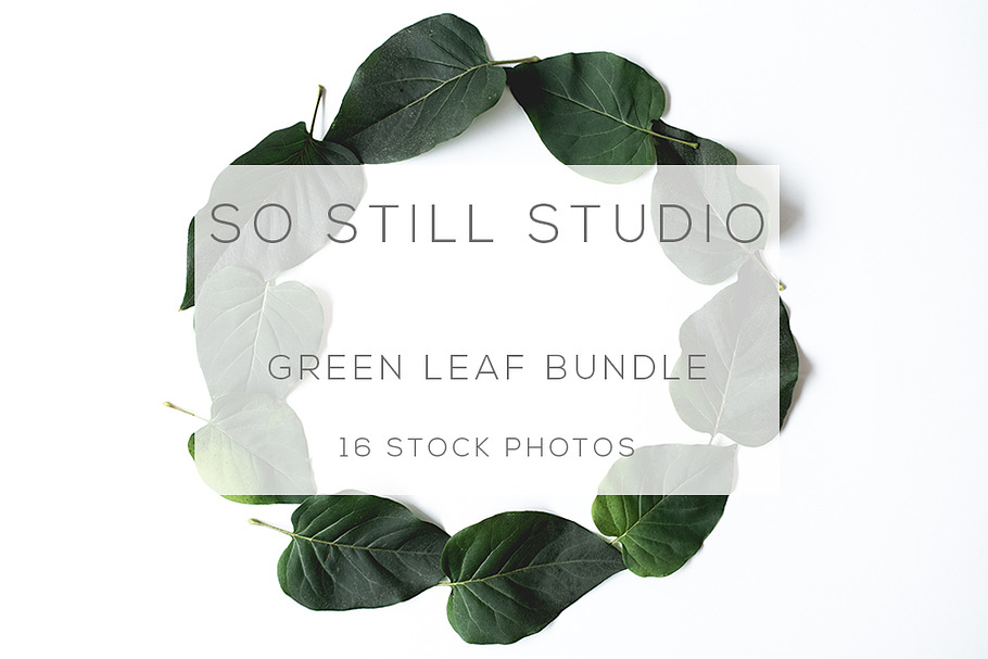 Green leaf stock photo bundle in Product Mockups - product preview 8