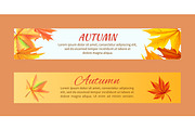Autumn Banners set with Maple Foliage Vector