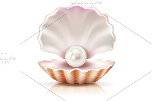 Pearl Realistic Set in Illustrations - product preview 1