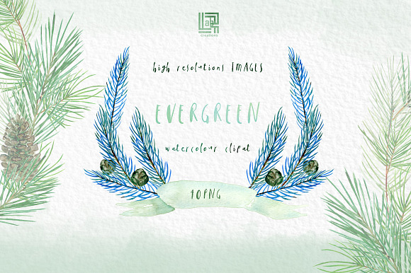 Pine. Watercolor clipart in Illustrations - product preview 5