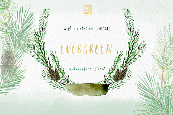 Pine. Watercolor clipart in Illustrations - product preview 6