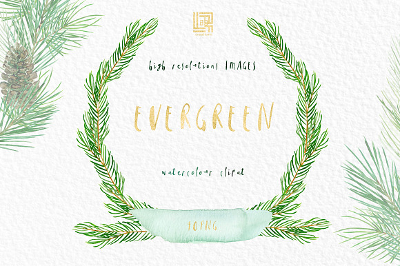 Pine. Watercolor clipart in Illustrations - product preview 7