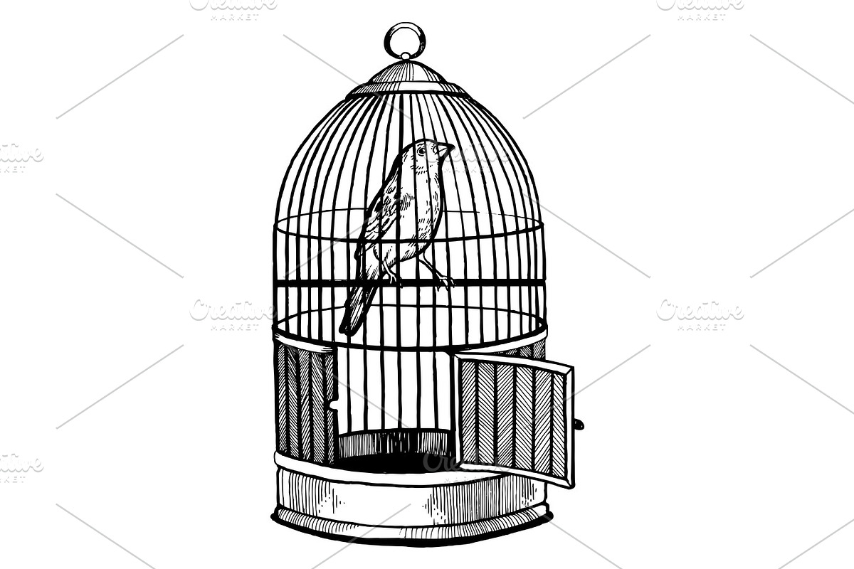 Canary bird in cage engraving vector illustration in Illustrations - product preview 8