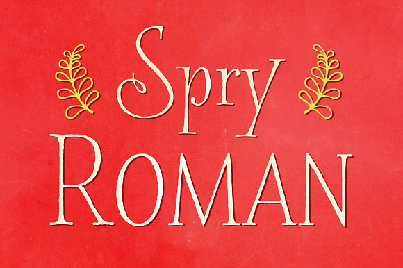 Spry Roman Pro in Serif Fonts - product preview 3