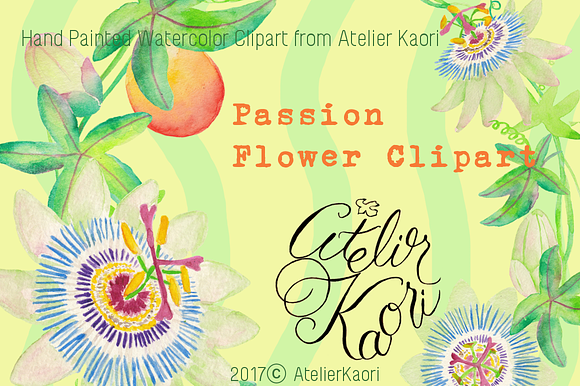 Passionflower Clipart in Illustrations - product preview 2