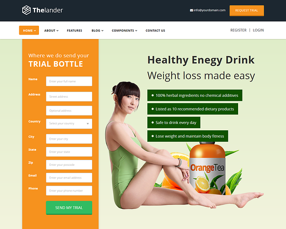 Thelander Landing Page Template in HTML/CSS Themes - product preview 3