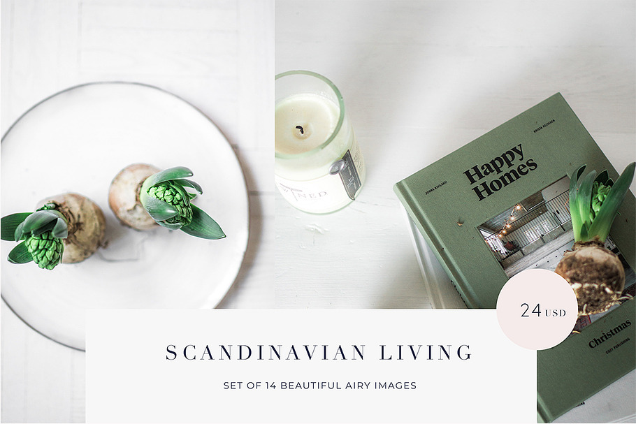 Scandinavian living styled photos