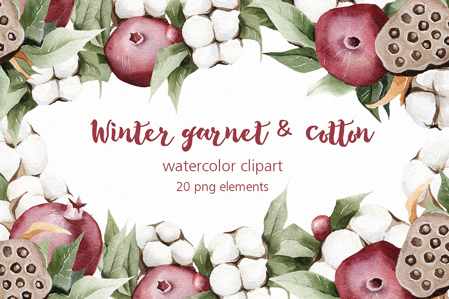 Winter watercolor garnet & cotton in Illustrations - product preview 8