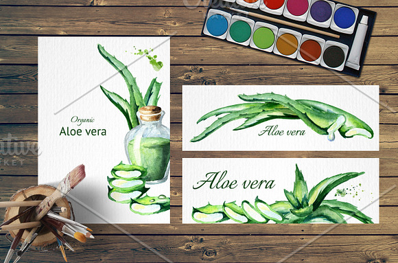 Aloe Vera in Illustrations - product preview 4