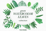 Green watercolor leaves vector