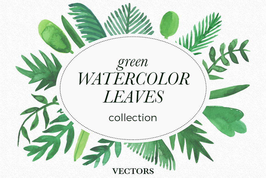 Green watercolor leaves vector in Illustrations - product preview 8