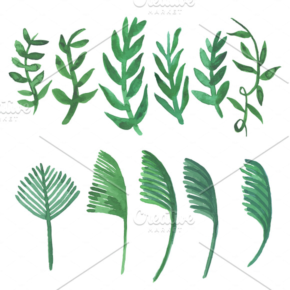 Green watercolor leaves vector in Illustrations - product preview 3