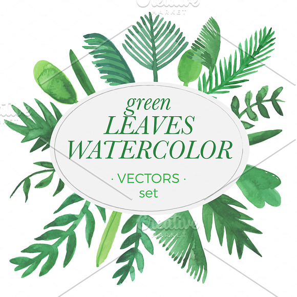 Green watercolor leaves vector in Illustrations - product preview 4