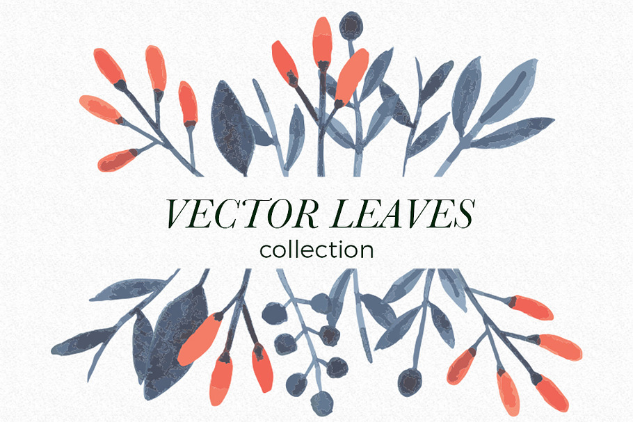 Botanical flowers & leaves vectors