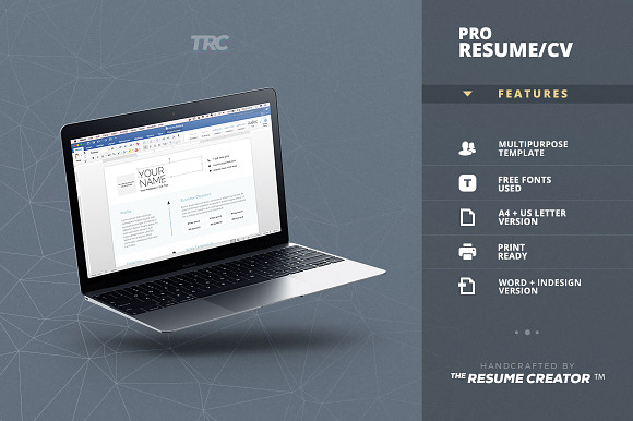 Pro Resume/Cv Template in Resume Templates - product preview 4