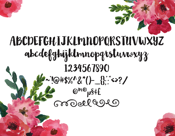 Abigail in Script Fonts - product preview 1
