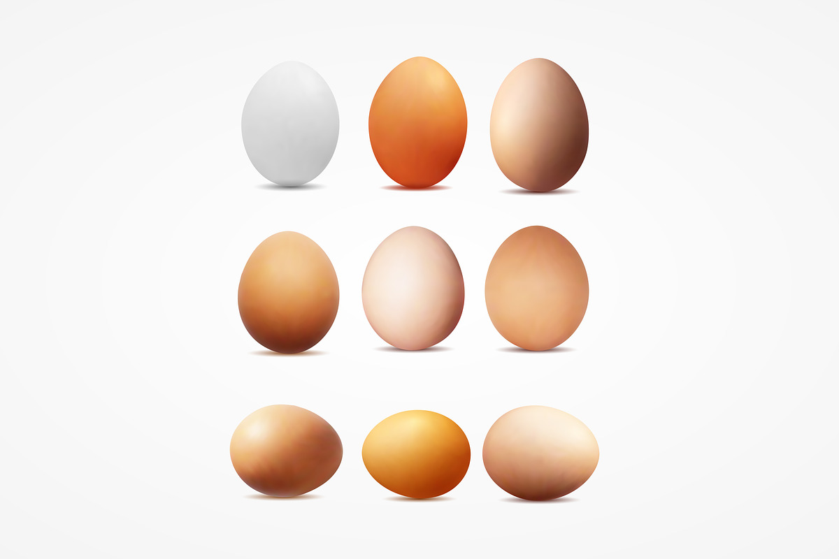 Realistic vector image of eggs in Product Mockups - product preview 8