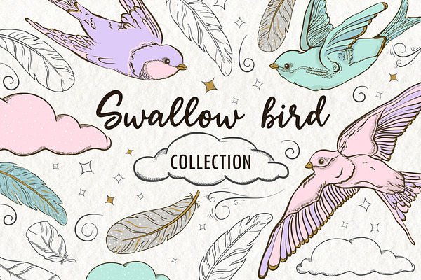 Swallow bird - Patterns and elements