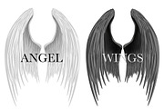 White and Black closed angel wings