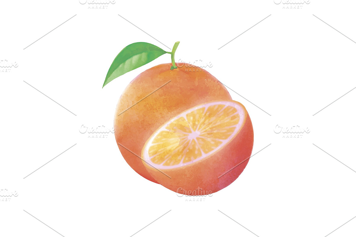 Watercolor Orange fruit with leaf on white in Illustrations - product preview 8