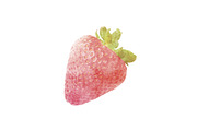 Watercolor Strawberry fruit on white