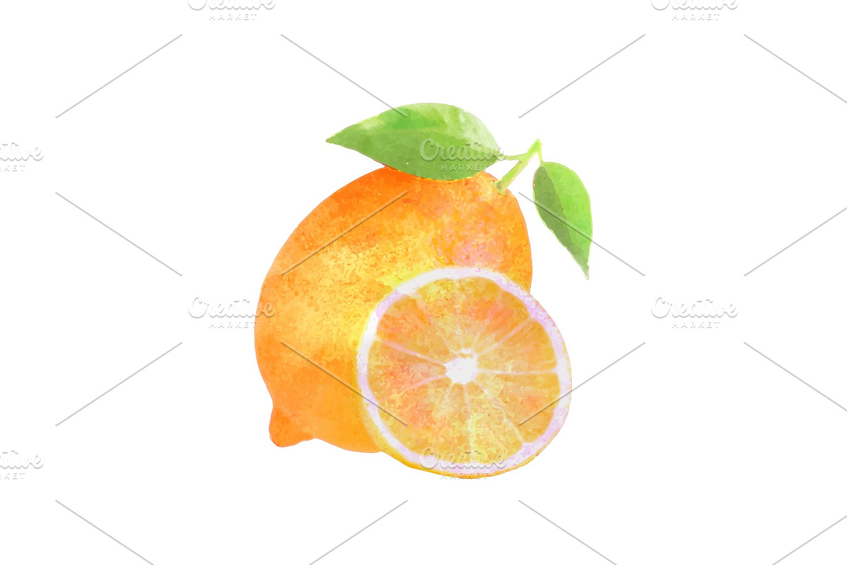 Watercolor lemon fruit with leafs on white in Illustrations - product preview 8