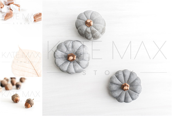 Fall Details BUNDLE // KateMaxStock in Product Mockups - product preview 1