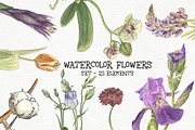 Watercolors flowers