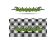 Fir Branch Isolated on White