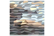 Brown Grey Abstract Low Polygon Back