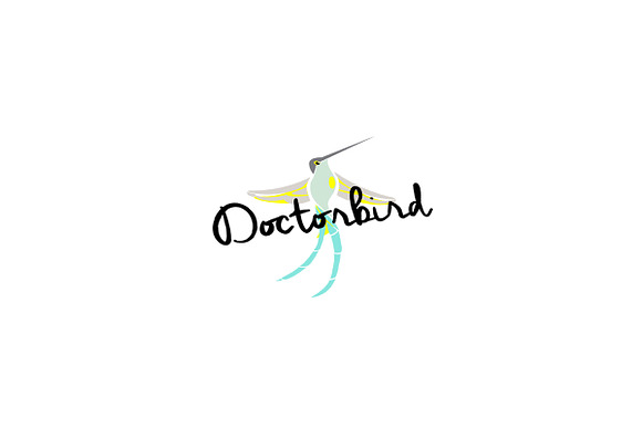 Doctorbird Pre-made Logo Template in Logo Templates - product preview 1