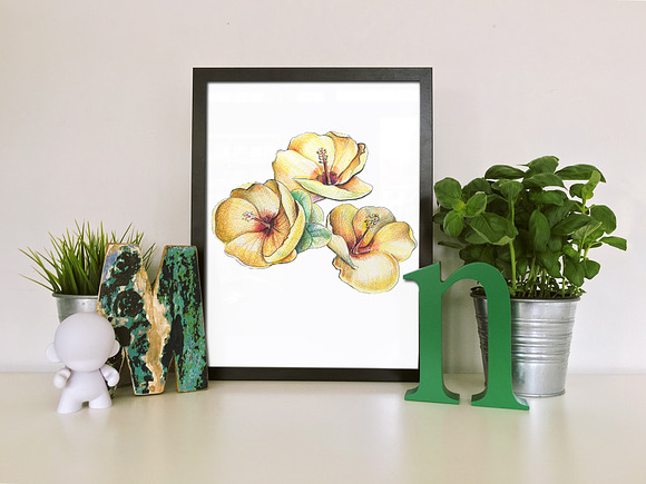 Yellow flowers in Illustrations - product preview 8