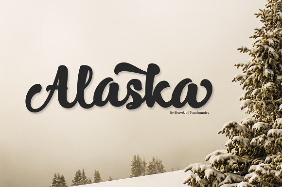 Alaska Typeface in Script Fonts - product preview 8