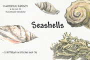 Seashells - watercolor elements set