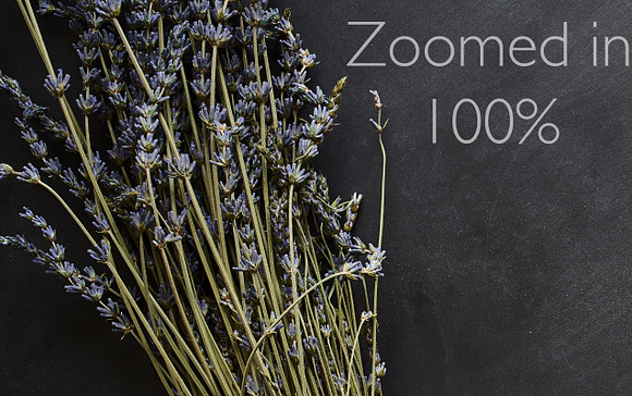 Lavender Dream Chalkboard Photos in Product Mockups - product preview 1