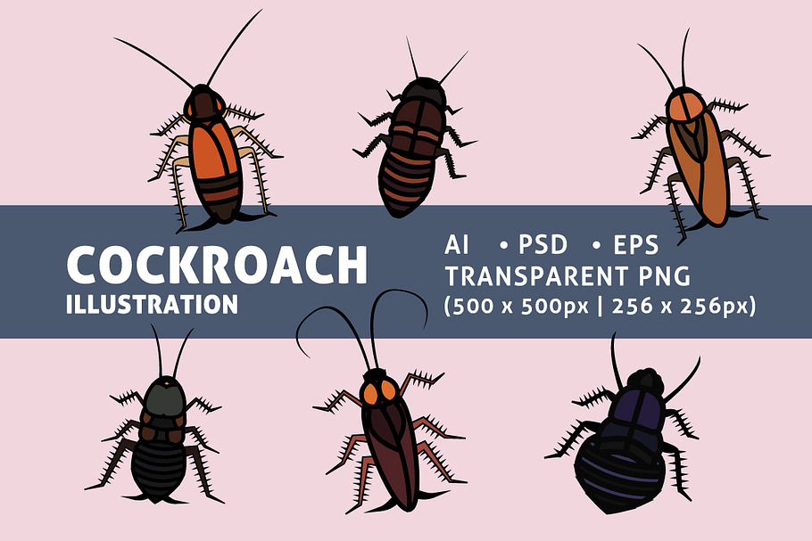 Various Cockroaches