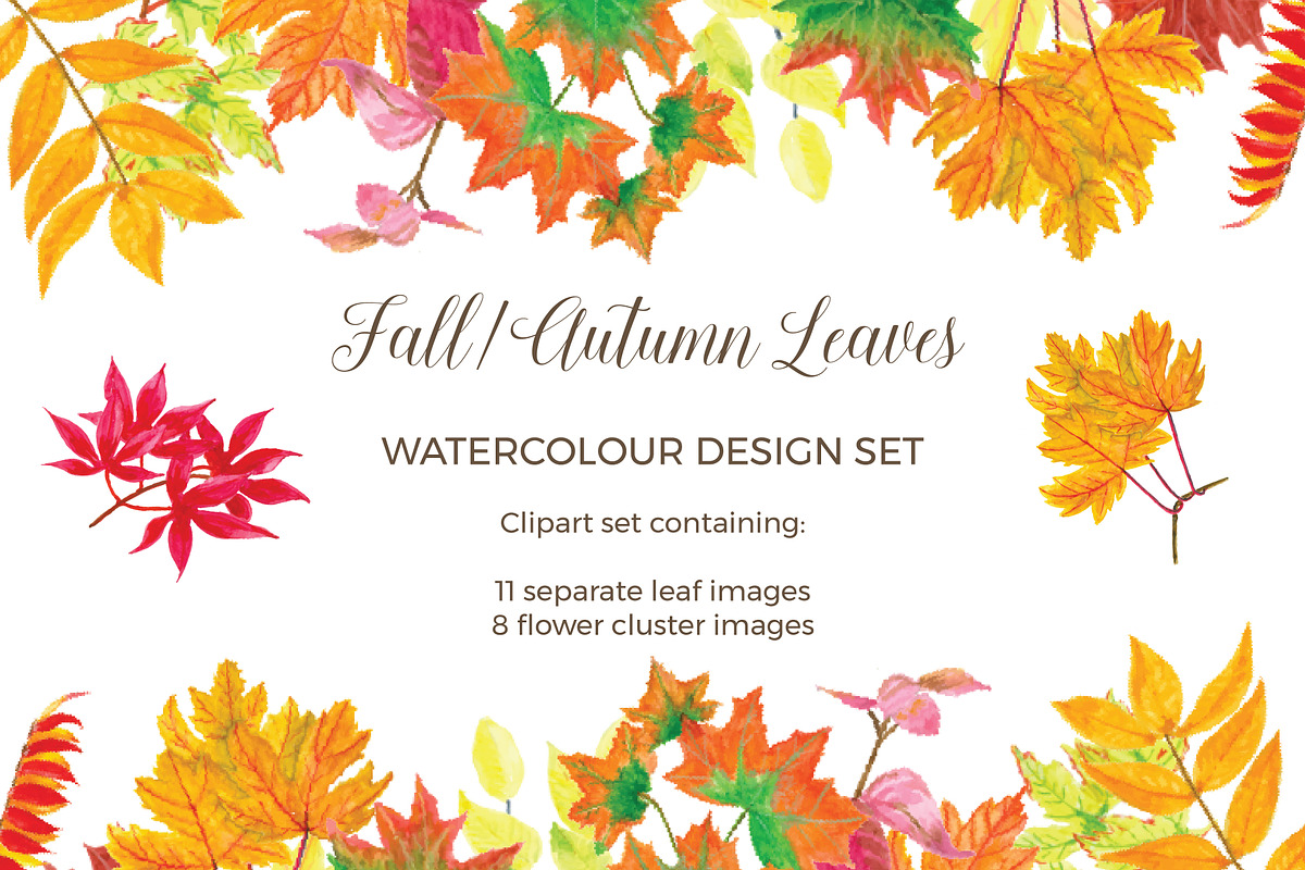 Watercolor Fall leaves in Illustrations - product preview 8