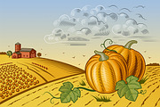 Pumpkin Harvest Landscape
