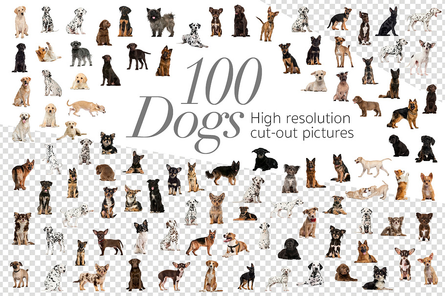100 Dogs Bundle - Cut-out Pictures