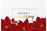 Merry Christmas, background decorated with beautiful red buds poinsettia flowers
