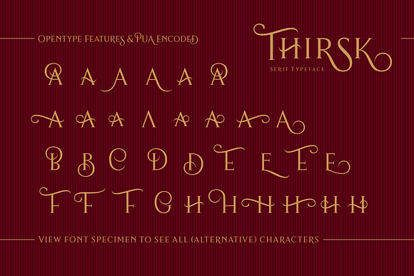 Thirsk - An Elegant Serif in Serif Fonts - product preview 6